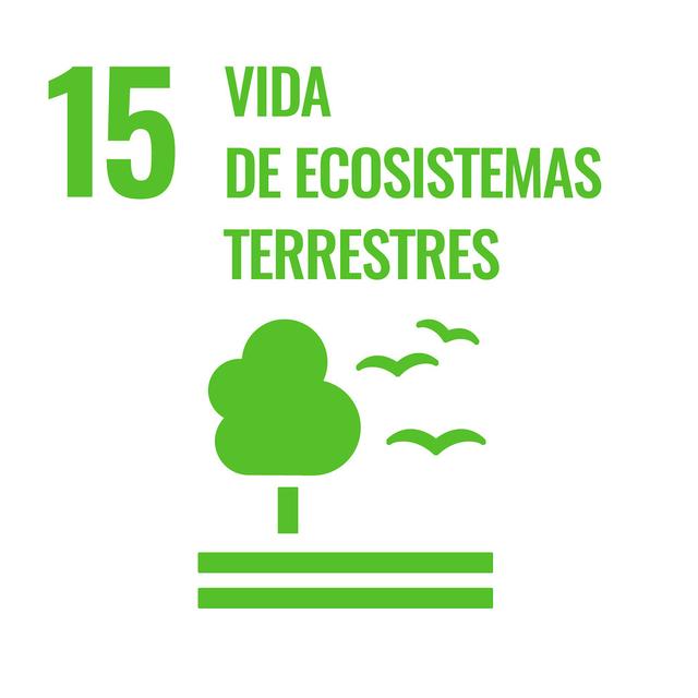 Los productos para alimentación animal de AOS utilizan mucha menos tierra que sus sustitutos. Además, nuestros abonos orgánicos están diseñados para favorecer la transición hacia la agricultura ecológica, con efectos positivos para la salud del suelo.